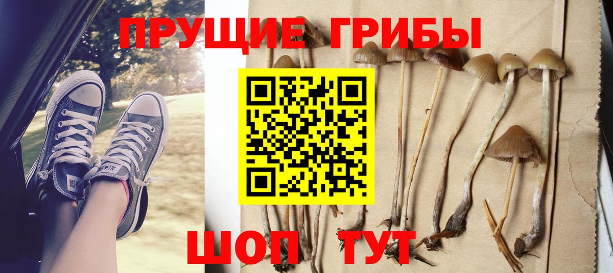 Галлюциногенные грибы Magic Shrooms Уварово